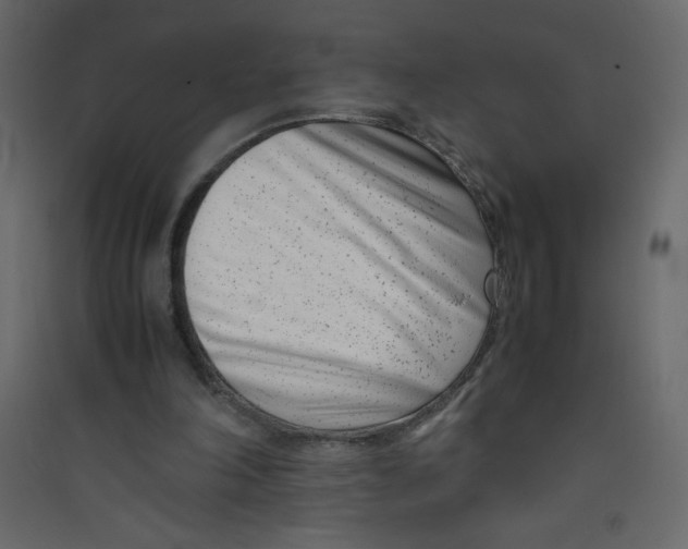 X0000089430198200707131852