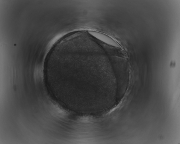 X0000089430200200707131852