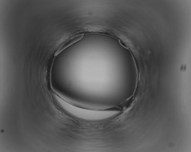 X0000089430201200707131852