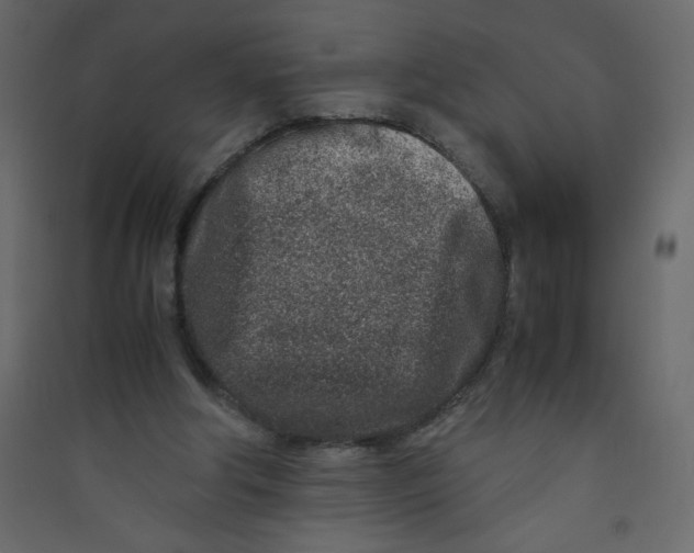 X0000089430202200707131852