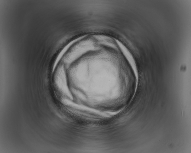 X0000089430203200707131852