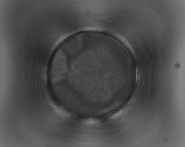 X0000089430204200707131852