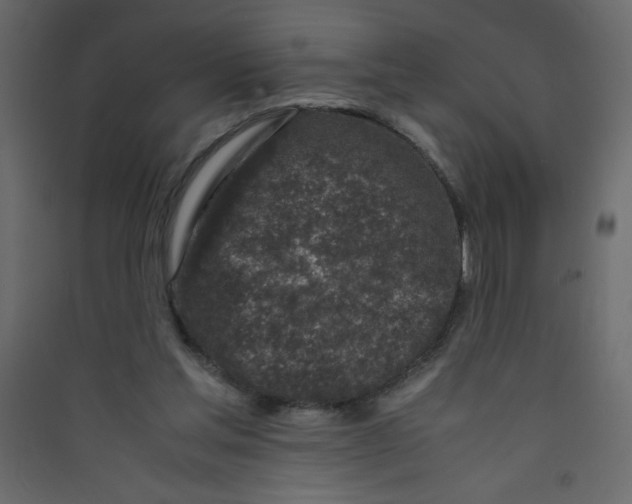X0000089430205200707131852