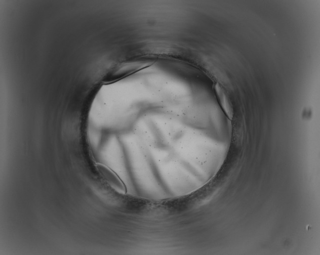 X0000089430207200707131852