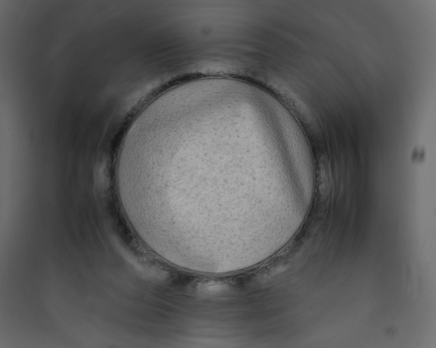 X0000089430208200707131852