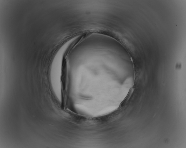 X0000089430209200707131852