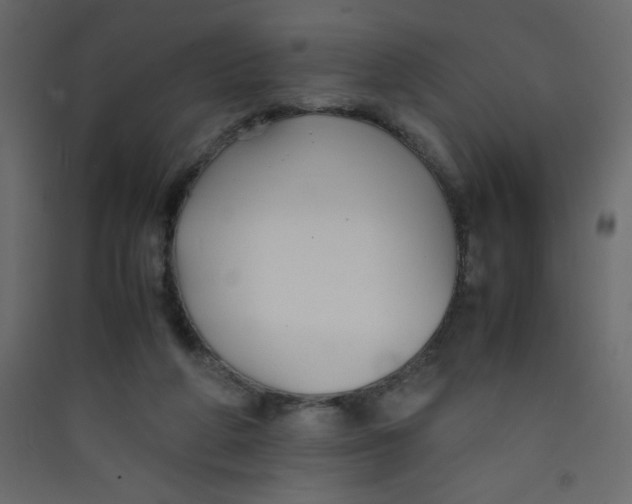 X0000089430210200707131852