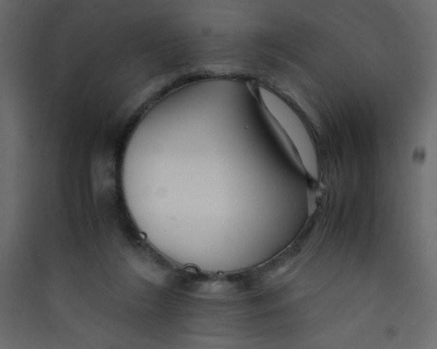 X0000089430212200707131851