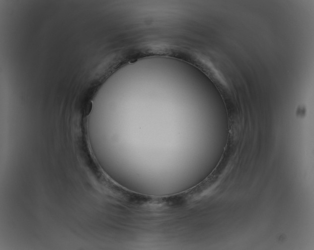 X0000089430213200707131851