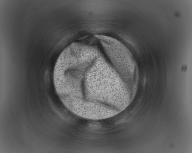 X0000089430214200707131851