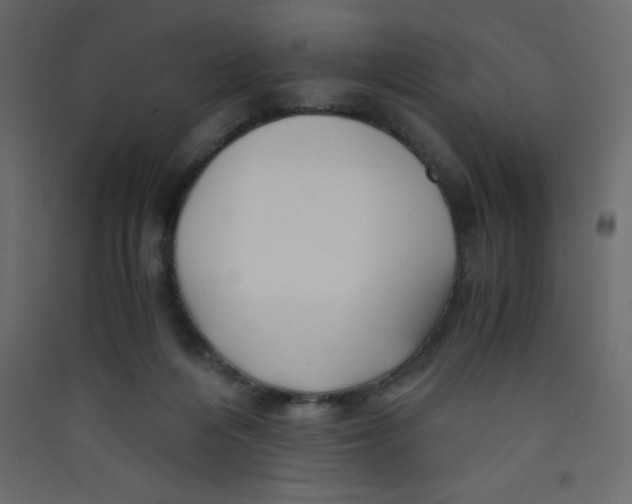 X0000089430216200707131851