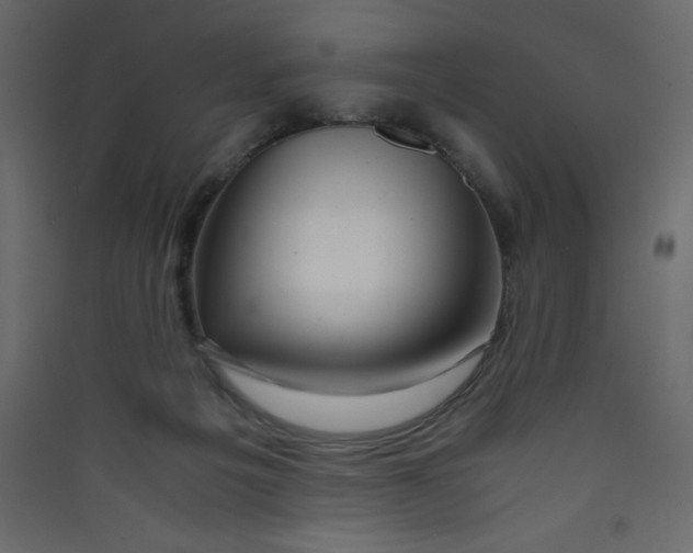 X0000089430217200707131851