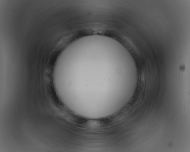 X0000089430218200707131851