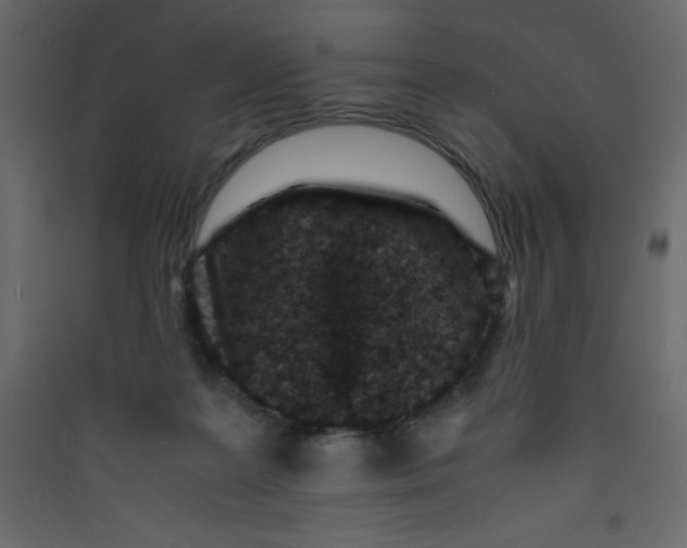 X0000089430219200707131851