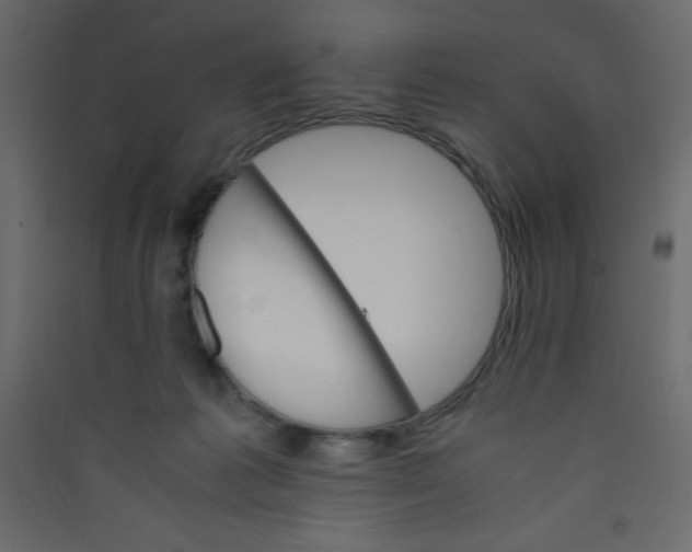 X0000089430221200707131851