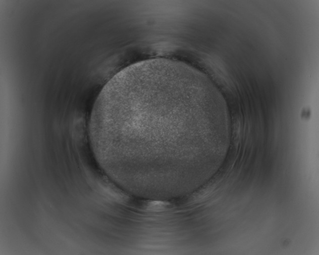 X0000089430222200707131851