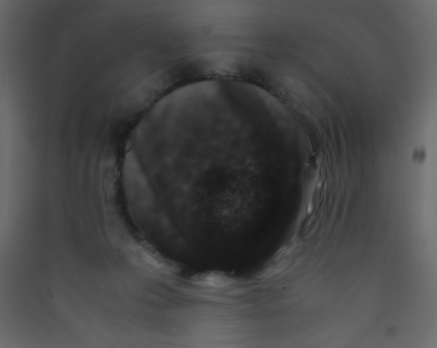 X0000089430223200707131851
