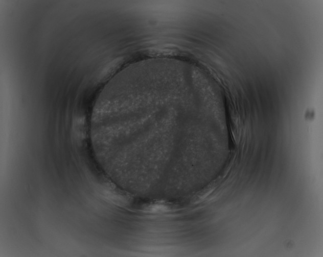X0000089430224200707131851