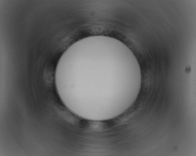 X0000089430226200707131851