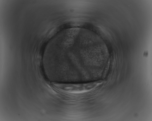 X0000089430227200707131851