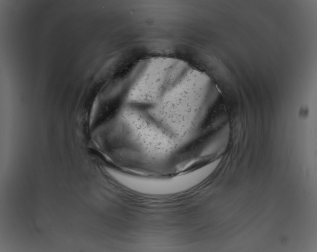 X0000089430229200707131851