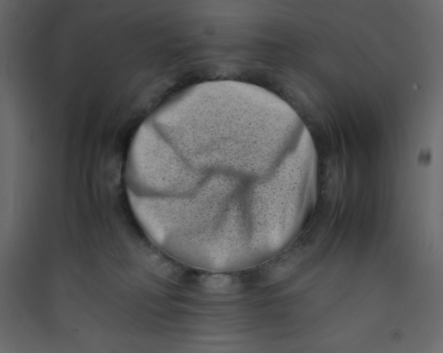 X0000089430230200707131851