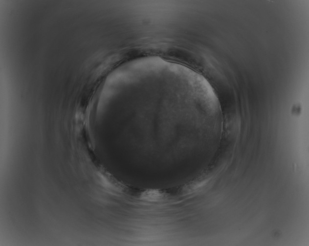 X0000089430231200707131851