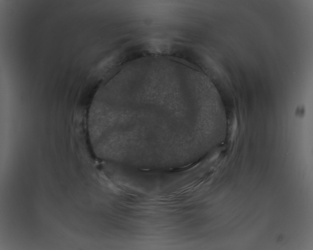 X0000089430233200707131851