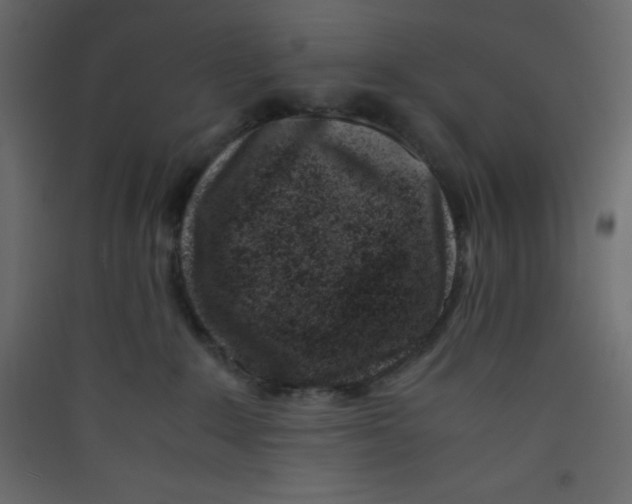 X0000089430235200707131851