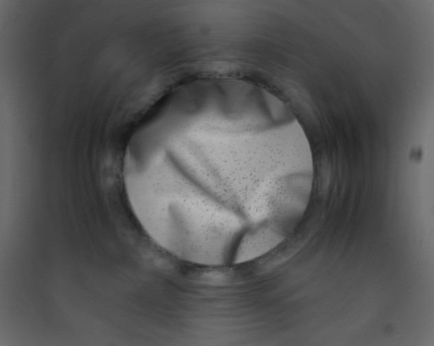 X0000089430236200707131851