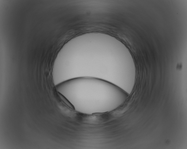 X0000089430237200707131851