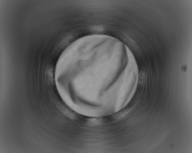 X0000089430238200707131851