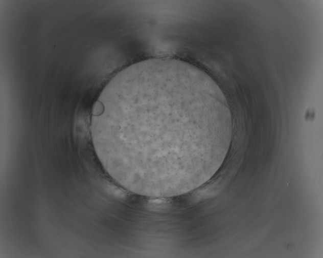 X0000089430240200707131851