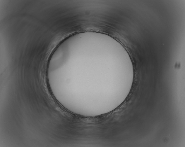 X0000089430241200707131850