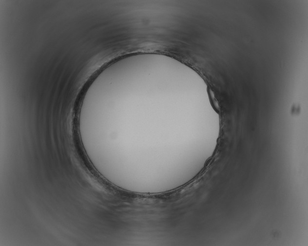 X0000089430242200707131850