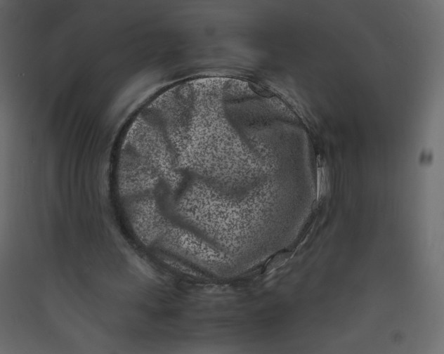 X0000089430243200707131850