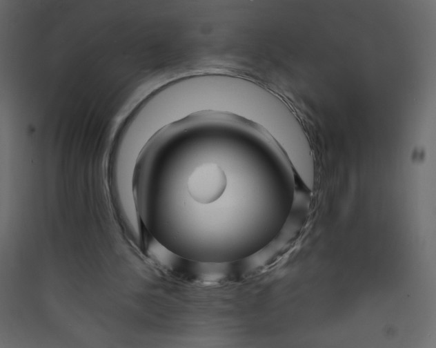 X0000089430244200707131850