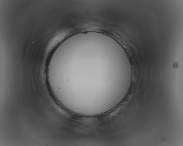 X0000089430245200707131850