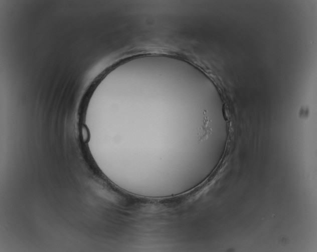 X0000089430246200707131850