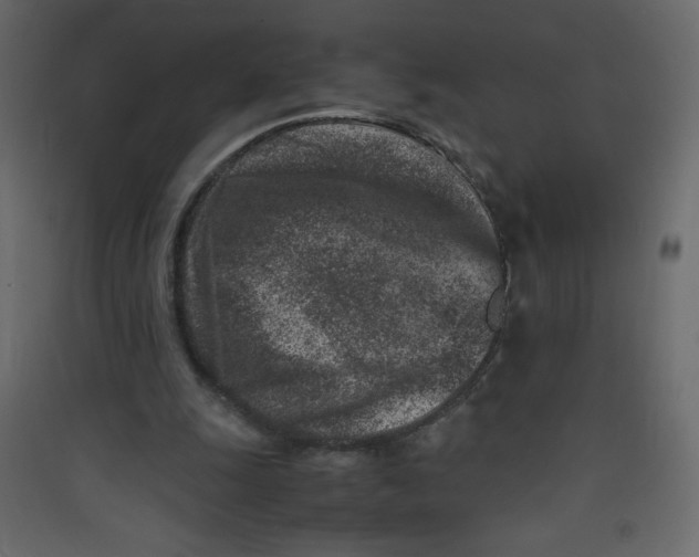 X0000089430247200707131850