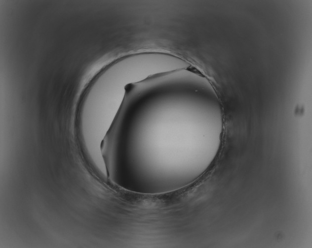 X0000089430248200707131850