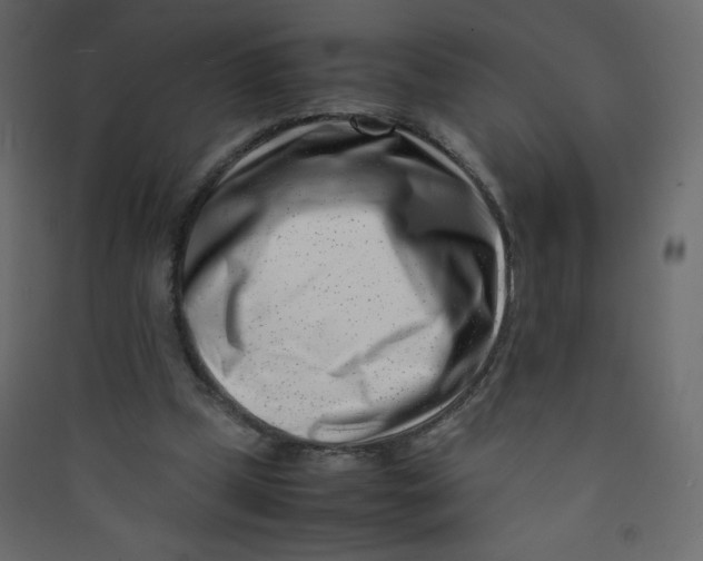 X0000089430249200707131850