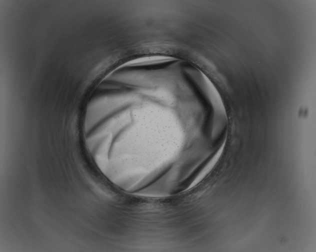 X0000089430250200707131850