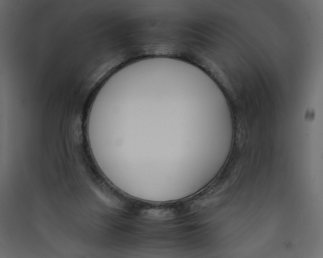X0000089430251200707131850