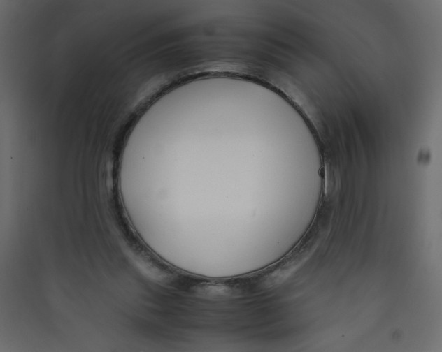 X0000089430253200707131851