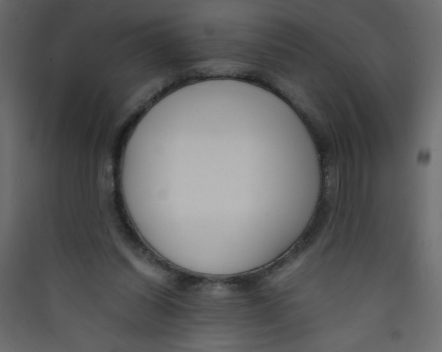 X0000089430254200707131851