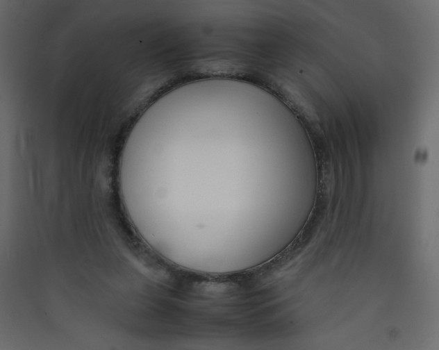 X0000089430255200707131851