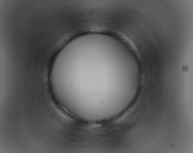 X0000089430257200707131851