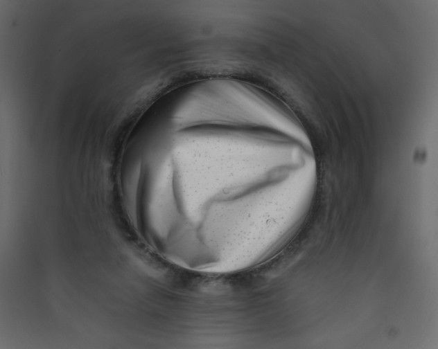 X0000089430258200707131851