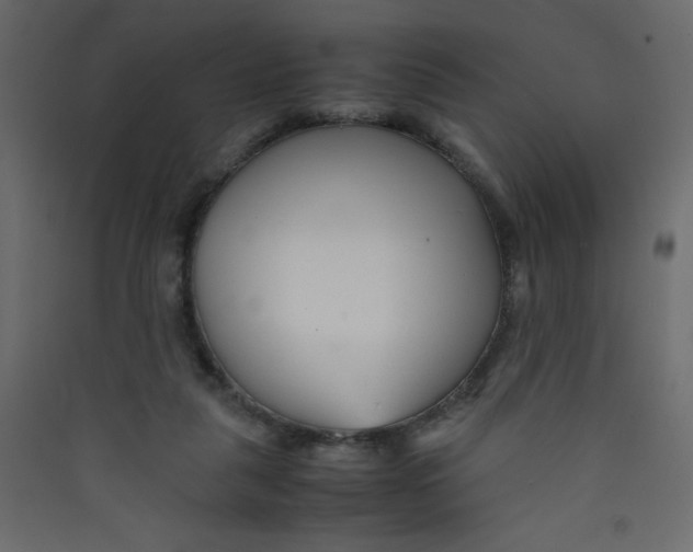 X0000089430259200707131851
